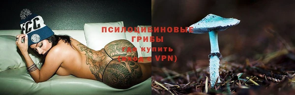гидра Кулебаки