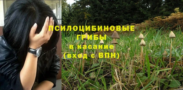 гидра Кулебаки