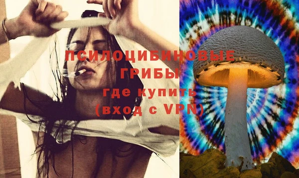 MDMA Кукмор