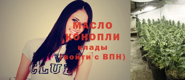 гидра Кулебаки