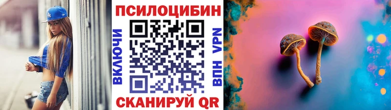 Купить где  Ревда  Галлюциногенные грибы GOLDEN TEACHER 